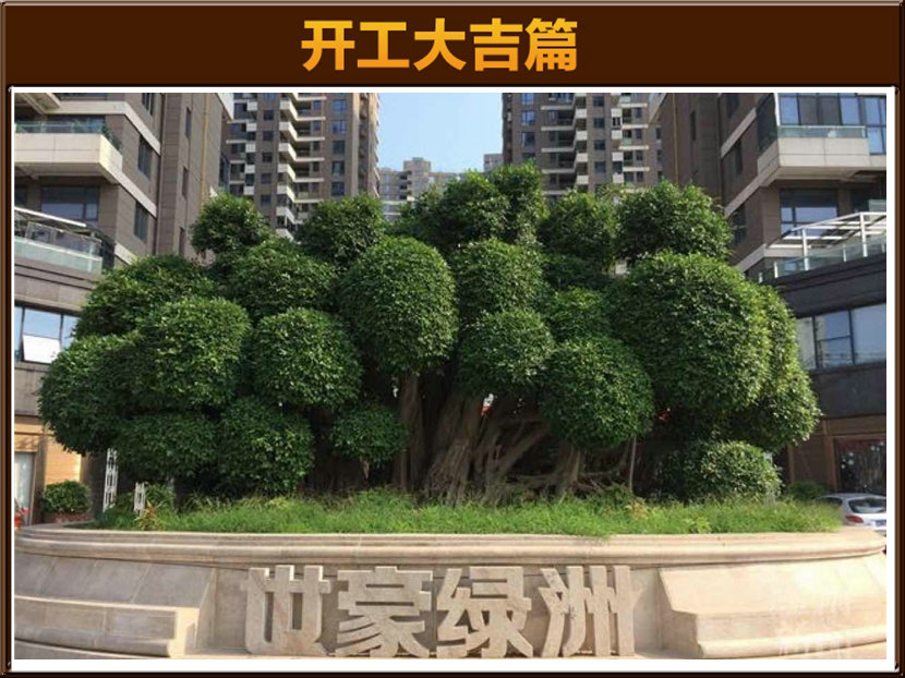 &#39318;&#39029;&#95;&#74;&#68;&#66;&#40;&#20013;&#22269;&#41;&#30005;&#23376;&#95;&#23448;&#26041;&#32593;&#31449;